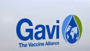 Paludisme: les coupes dans l'aide am&eacute;ricaine menacent des "dizaines de milliers de vies d'enfants", selon l'Alliance du vaccin