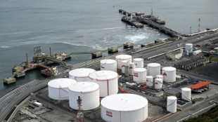 El precio del gas en Espa&ntilde;a y Francia podr&iacute;a dispararse en las pr&oacute;ximas d&eacute;cadas, seg&uacute;n un estudio
