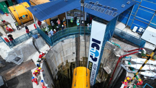 Icop, infondata richiesta revisione prezzo Opa su Palingeo