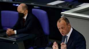 Merz bietet Regierung Unterst&uuml;tzung in Russland-Politik an