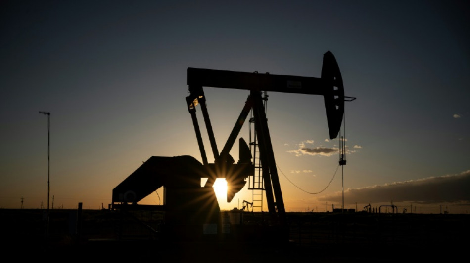 IEA sees anaemic global oil demand growth amid tariff turmoil