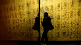 Crowds flock to Istanbul's Museum of Innocence before TV adaptation