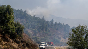 Incendi boschivi, 51900 interventi vigili fuoco da metà giugno