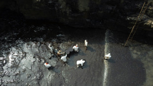 Le Pérou déclare une "urgence environnementale" après la marée noire sur ses côtes