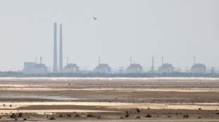 IAEA-Chef Grossi: Reparaturen an Akw Saporischschja sollen bald beginnen