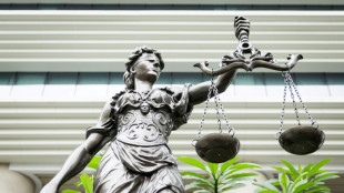 Bundesverwaltungsgericht verhandelt über geplantes festes LNG-Terminal in Stade