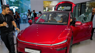 Tesla lance des versions meilleur march&eacute; des Model 3 et Model Y, Wall Street d&eacute;&ccedil;ue