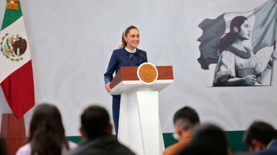 Presidente do M&eacute;xico apresenta arriscada reforma eleitoral