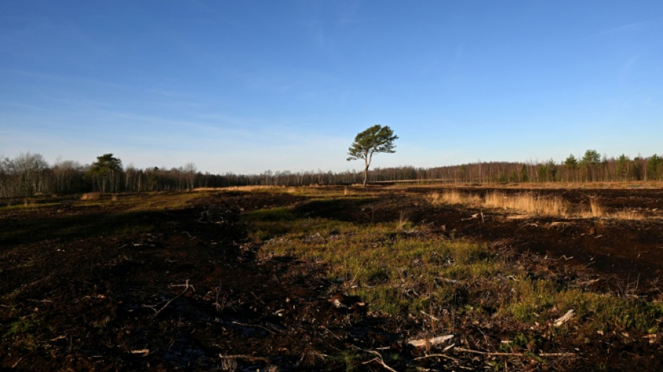Beschwerde gegen Verbot von Torfabbau in Niedersachsen scheitert in Karlsruhe
