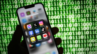 Presse et plateformes num&eacute;riques: les d&eacute;put&eacute;s cherchent &agrave; d&eacute;bloquer les droits voisins