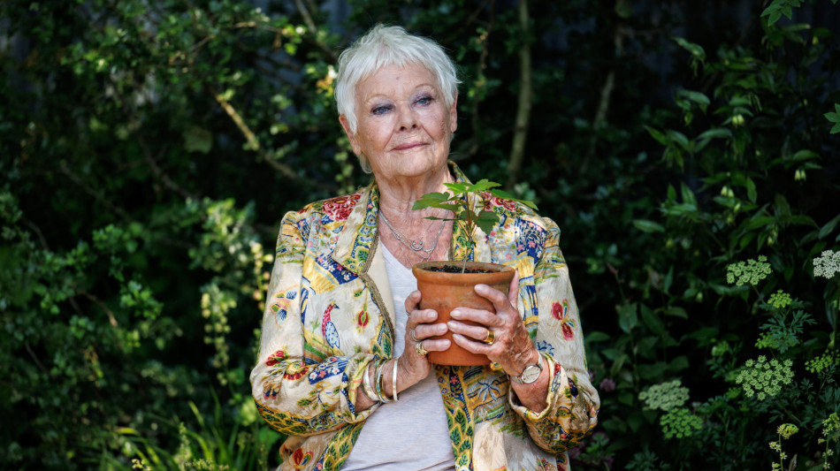 Judi Dench verso il ritiro, 'non riesco pi&ugrave; a vedere'