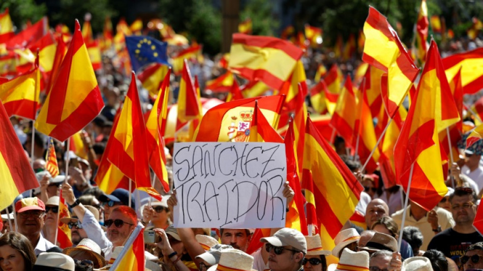 Gran manifestación en Madrid contra el gobierno de Pedro Sánchez