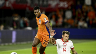 Cash on hand to clinch point for Poland against Netherlands