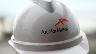 Nationaliser ArcelorMittal pour sauver la sidérurgie ? La proposition de LFI examinée à l'Assemblée