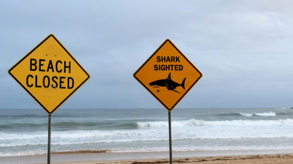 Australie: un enfant de 12 ans meurt des suites d'une attaque de requin