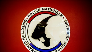 Vaste coup de filet anti-p&eacute;docriminalit&eacute; en France, 80 interpellations