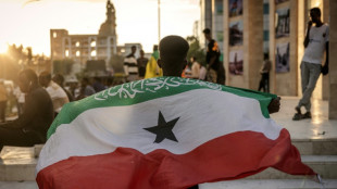 Somalia, African nations denounce Israeli recognition of Somaliland