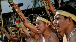 Indigenous protest urges end to Colombia border violence