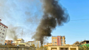 Ceasefire halts deadly Afghanistan-Pakistan fighting