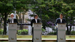 Colombia, Brasil y Bolivia unen fuerzas por la Amazonía de cara a la COP30