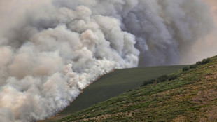 Spain PM says planning for deadly wildfires 'clearly insufficient'