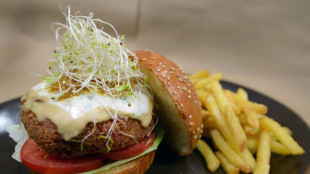 EU-Parlament stimmt über Namensverbot für Veggie-Burger ab