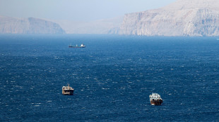 Gb valuta l'invio di una nave per bonificare dalle mine lo Stretto di Hormuz