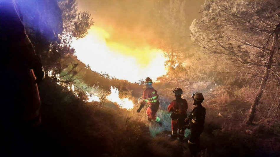 Espagne: 700 personnes &eacute;vacu&eacute;es &agrave; cause d'un feu de for&ecirc;t "hors de contr&ocirc;le"