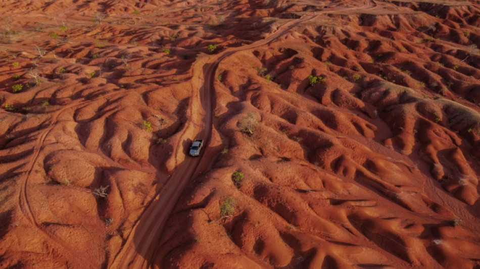 Au Br&eacute;sil, des agriculteurs r&eacute;sistent face &agrave; la d&eacute;sertification