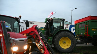 Dermatose: la mobilisation enfle dans le Sud-Ouest, appel &agrave; "l'apaisement" de Genevard