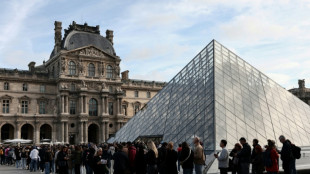 Le Louvre rouvre, Macron demande une "acc&eacute;l&eacute;ration" des "mesures de s&eacute;curisation"