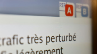 Gr&egrave;ves pour les retraites: perturbations limit&eacute;es dans les transports jeudi 