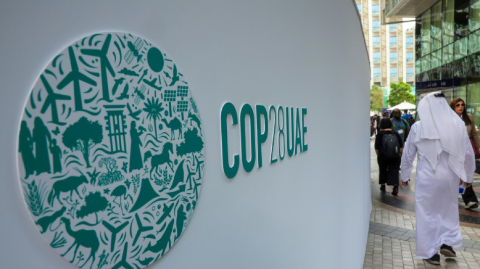 La contaminaci&oacute;n nubla el cielo de Dub&aacute;i, donde se celebra la COP28