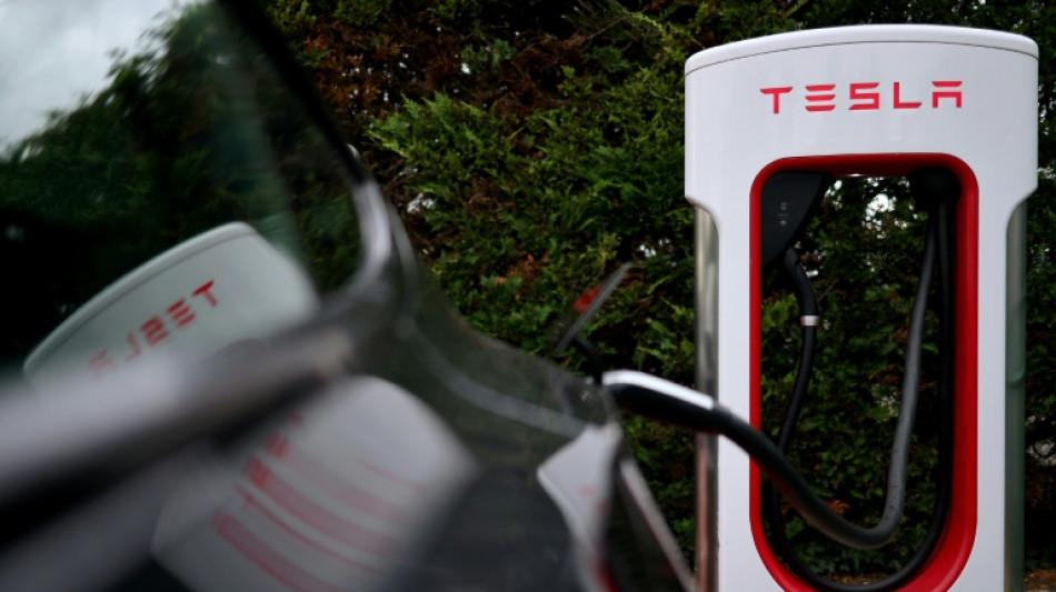 Tesla construirá una planta de almacenamiento de electricidad en China