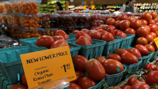 México critica tarifa sobre tomates imposta pelos EUA