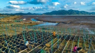 La ralentizaci&oacute;n de China frenar&aacute; el crecimiento en Asia, advierte el FMI