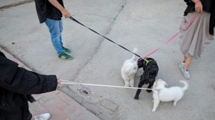Cidades no Irã proíbem passeios com cães
