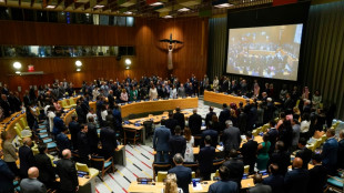 "No hay alternativa" a solución de dos Estados en conflicto israelo-palestino, afirma Francia