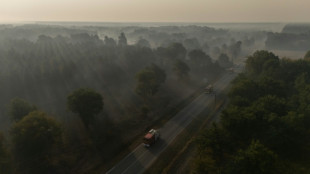 Ap&oacute;s inc&ecirc;ndios, milhares de pessoas retornam para casa na Espanha e na Fran&ccedil;a