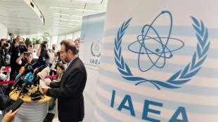 Irán suspende su cooperación con la agencia atómica de la ONU