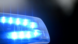 Auto kollidiert mit parkendem Lastwagen: Zwei Tote auf Rastplatz in Brandenburg