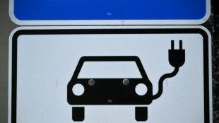 Mindestens 3000 Euro: Koalition k&uuml;ndigt Kaufpr&auml;mie f&uuml;r E-Autos und Plugin-Hybride an