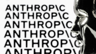 Funcion&aacute;rios de empresas de IA pedem apoio &agrave; Anthropic em disputa com Pent&aacute;gono