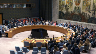 A l'ONU, Moscou et P&eacute;kin opposent leur veto au d&eacute;blocage du d&eacute;troit d'Ormuz