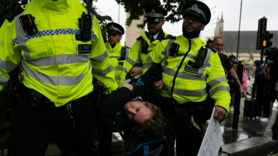 Royaume-Uni: des dizaines de partisans du groupe interdit Palestine Action arr&ecirc;t&eacute;s