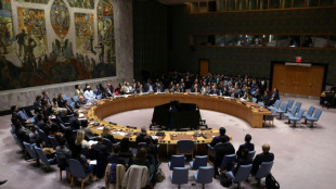 UN-Sicherheitsrat stimmt f&uuml;r Resolution zu Trumps Gaza-Friedensplan