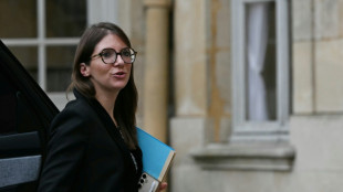 Propos contre le maire de Saint Denis: "insupportables et indignes" pour Berg&eacute;