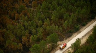 Incendie en Gironde: situation "stable" dimanche, le feu "n'&eacute;volue plus", selon la pr&eacute;fecture