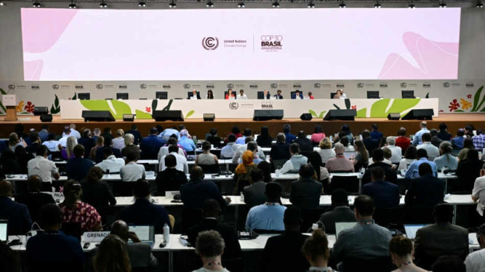 COP30: Key reactions to climate deal