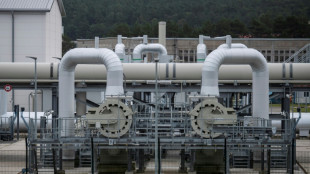 Alemania busca a un sospechoso ucraniano en la investigación del sabotaje del gasoducto ruso Nord Stream